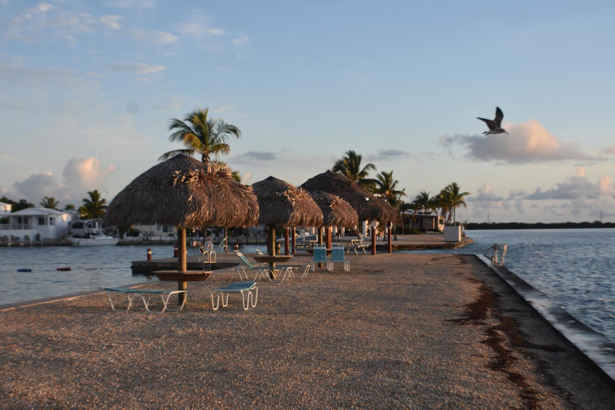 Pelican'S Roost, Waterfront Comfort At Venture Out Cudjoe Key Buitenkant foto